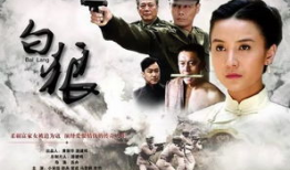 白狼电视剧剧情介绍,乱世中的英雄传奇，复仇之路的悲歌