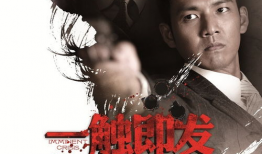一触即发电视剧剧情介绍,暗流涌动的谍影世界