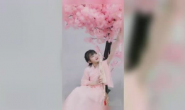 小苹果麻豆的真名,揭秘小苹果麻豆真名背后的故事与魅力