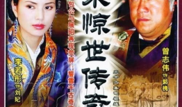 电视剧宋,穿越时空的传奇人生