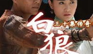 白狼电视剧剧情介绍,乱世中的英雄传奇，复仇之路的悲歌
