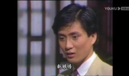 王子与灰姑娘的电视剧,王子与灰姑娘的浪漫传奇
