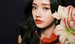 网红和女明星,时尚风向标与娱乐圈风云录