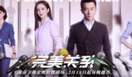 完美关系电视剧,职场情场双线交织，揭秘广告界的风云变幻