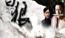 白狼电视剧剧情介绍,乱世中的英雄传奇，复仇之路的悲歌